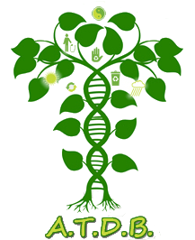 tree0logo