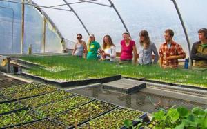 agriculturasustenabila