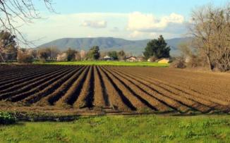 biodiversitatea-fermelor-poate-fi-imbunatatita-daca-exista-o-stransa-colaborare-intre-fermieri-si-oameni-de-stiinta-studiu-14533